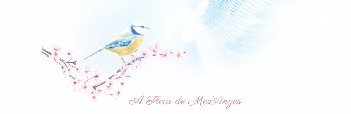 À Fleur de Mes'Anges